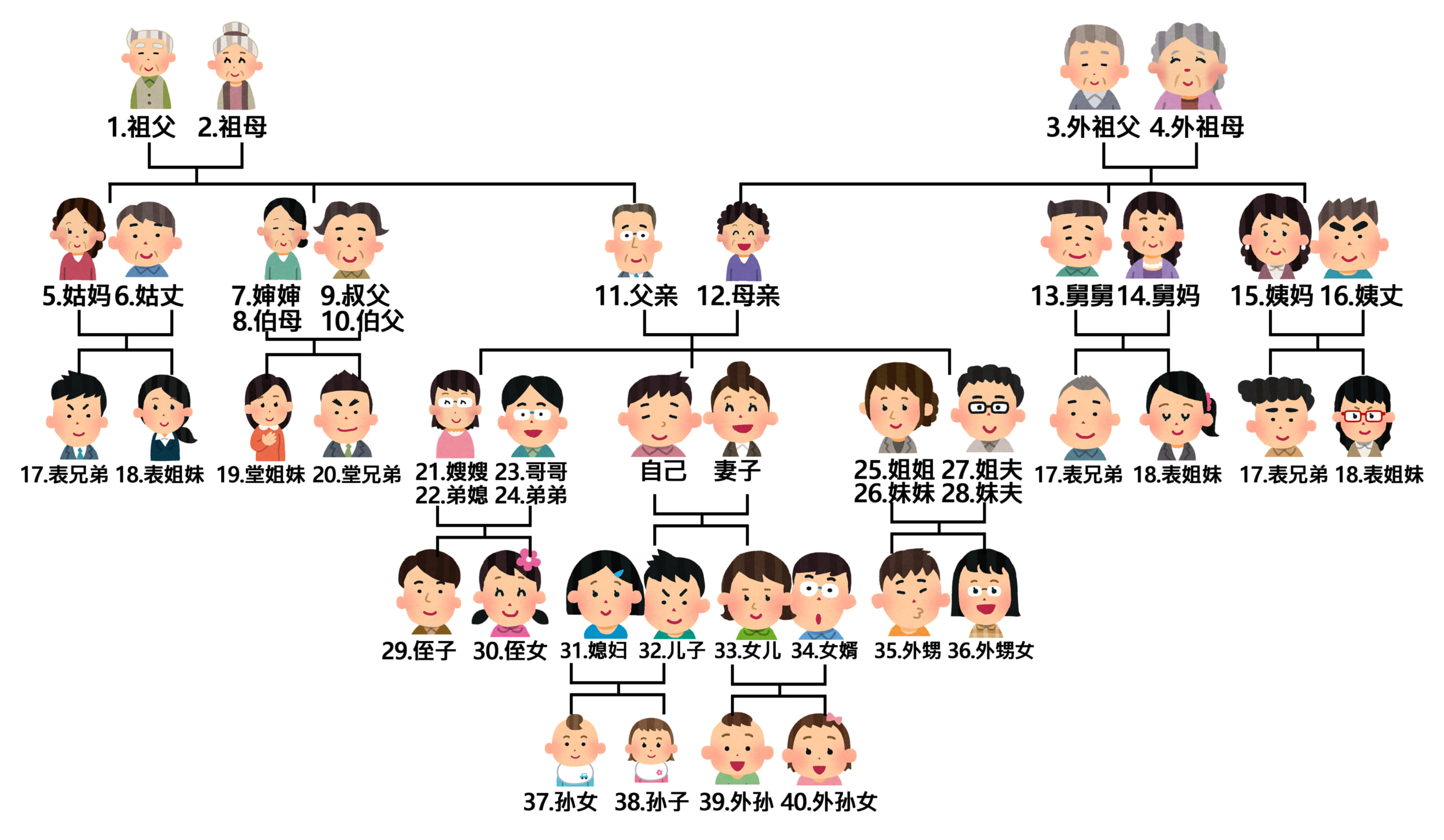 中国語の家族・親戚の呼び方のまとめ（発音付き） - オンラインで中国語学習 NetChai Media