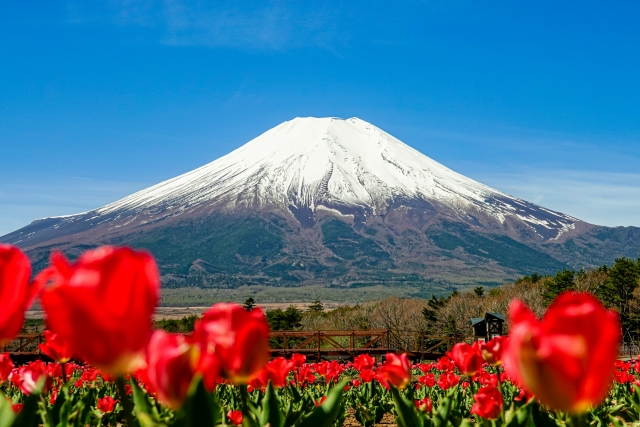 日本のオーバーツーリズム：なぜ富士登山は観光客に人気があるのか。